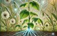 Plantas, los gobernantes silenciosos de la tierra.